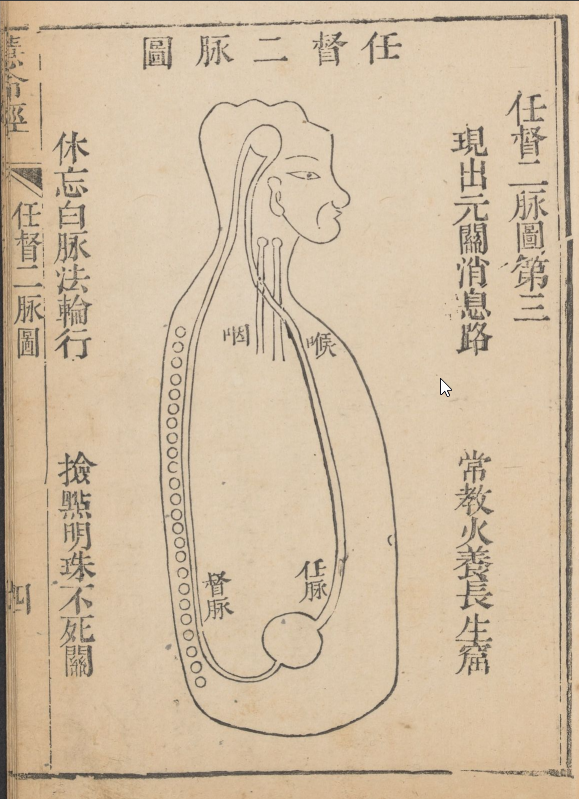 任督二脈圖第三