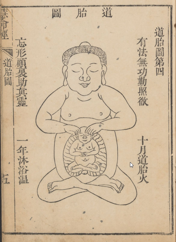 道胎圖