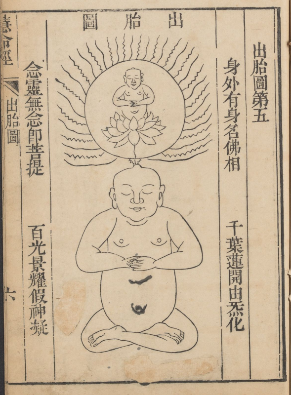 出胎圖第五